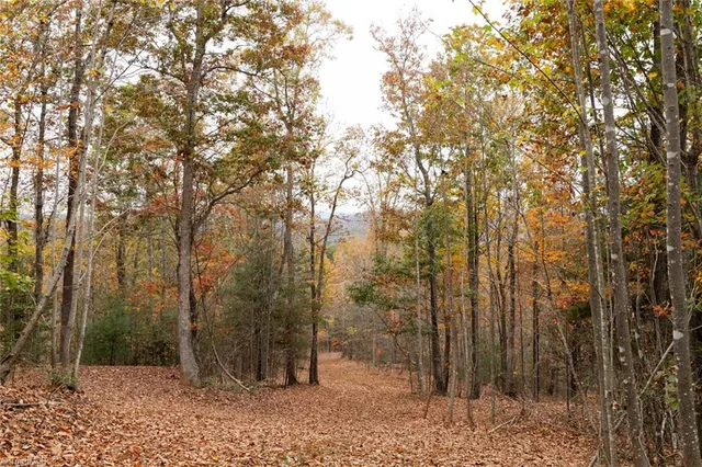 $933,225 | 421 Ferguson Nc 28624, Ferguson, NC 28624