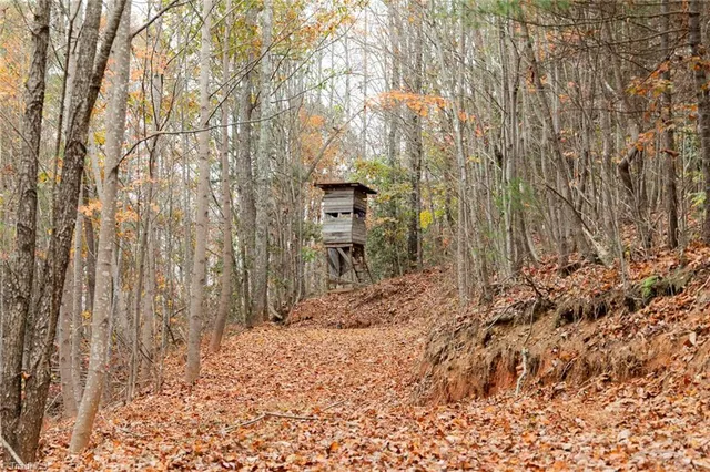 $933,225 | 421 Ferguson Nc 28624, Ferguson, NC 28624