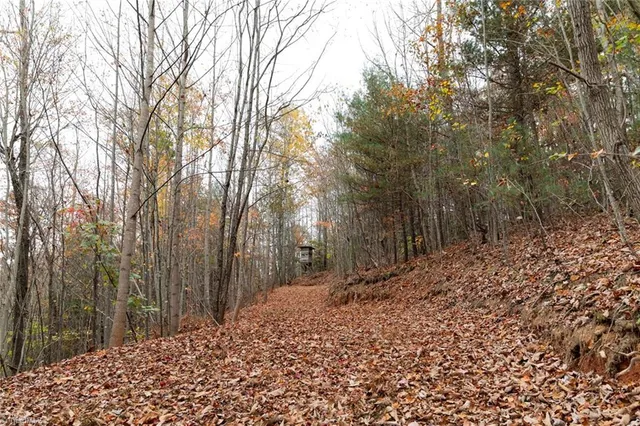 $933,225 | 421 Ferguson Nc 28624, Ferguson, NC 28624