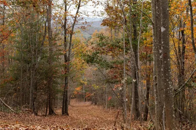 $933,225 | 421 Ferguson Nc 28624, Ferguson, NC 28624