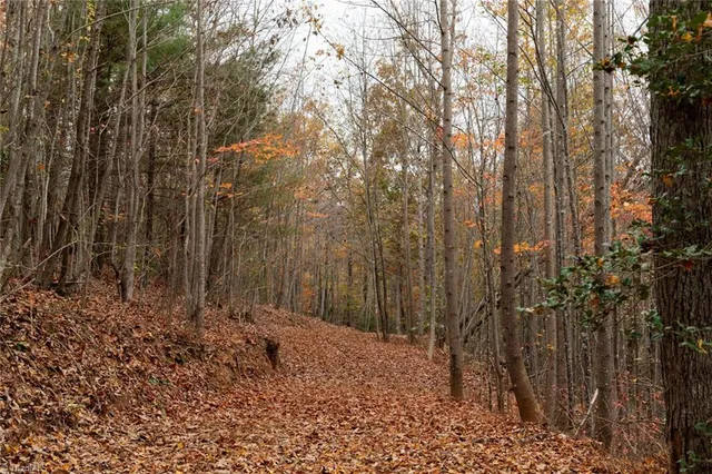 $933,225 | 421 Ferguson Nc 28624, Ferguson, NC 28624