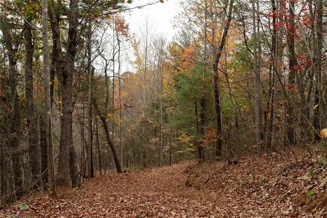 $933,225 | 421 Ferguson Nc 28624, Ferguson, NC 28624