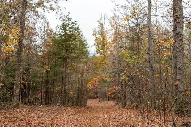 $933,225 | 421 Ferguson Nc 28624, Ferguson, NC 28624