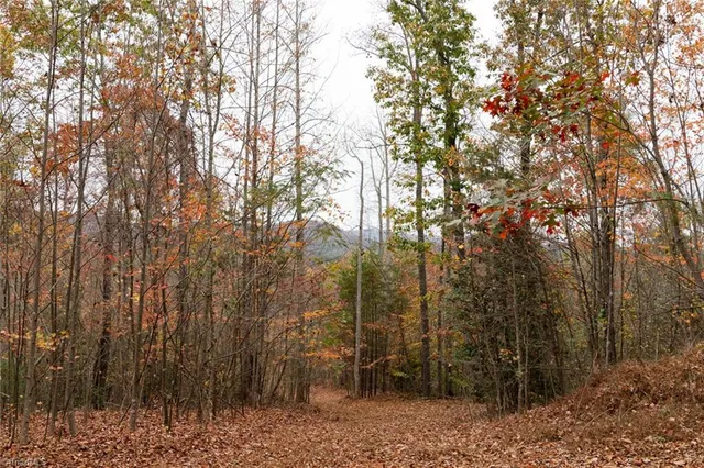 $933,225 | 421 Ferguson Nc 28624, Ferguson, NC 28624