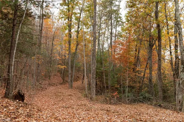 $933,225 | 421 Ferguson Nc 28624, Ferguson, NC 28624