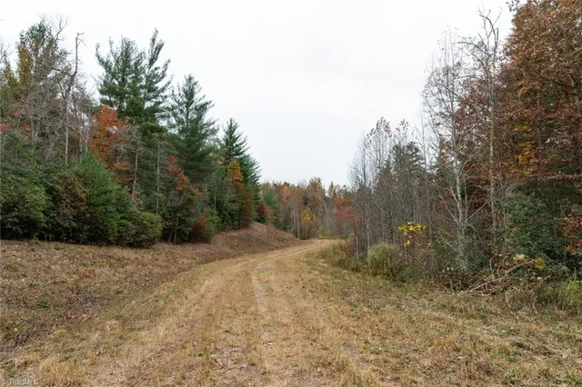 $933,225 | 421 Ferguson Nc 28624, Ferguson, NC 28624