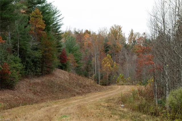 $933,225 | 421 Ferguson Nc 28624, Ferguson, NC 28624