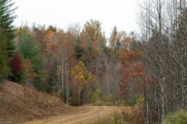 $933,225 | 421 Ferguson Nc 28624, Ferguson, NC 28624