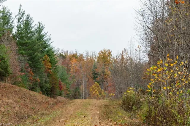 $933,225 | 421 Ferguson Nc 28624, Ferguson, NC 28624