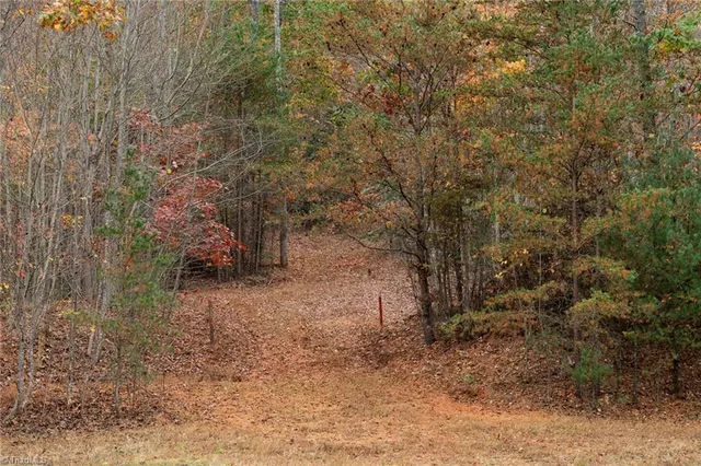 $933,225 | 421 Ferguson Nc 28624, Ferguson, NC 28624