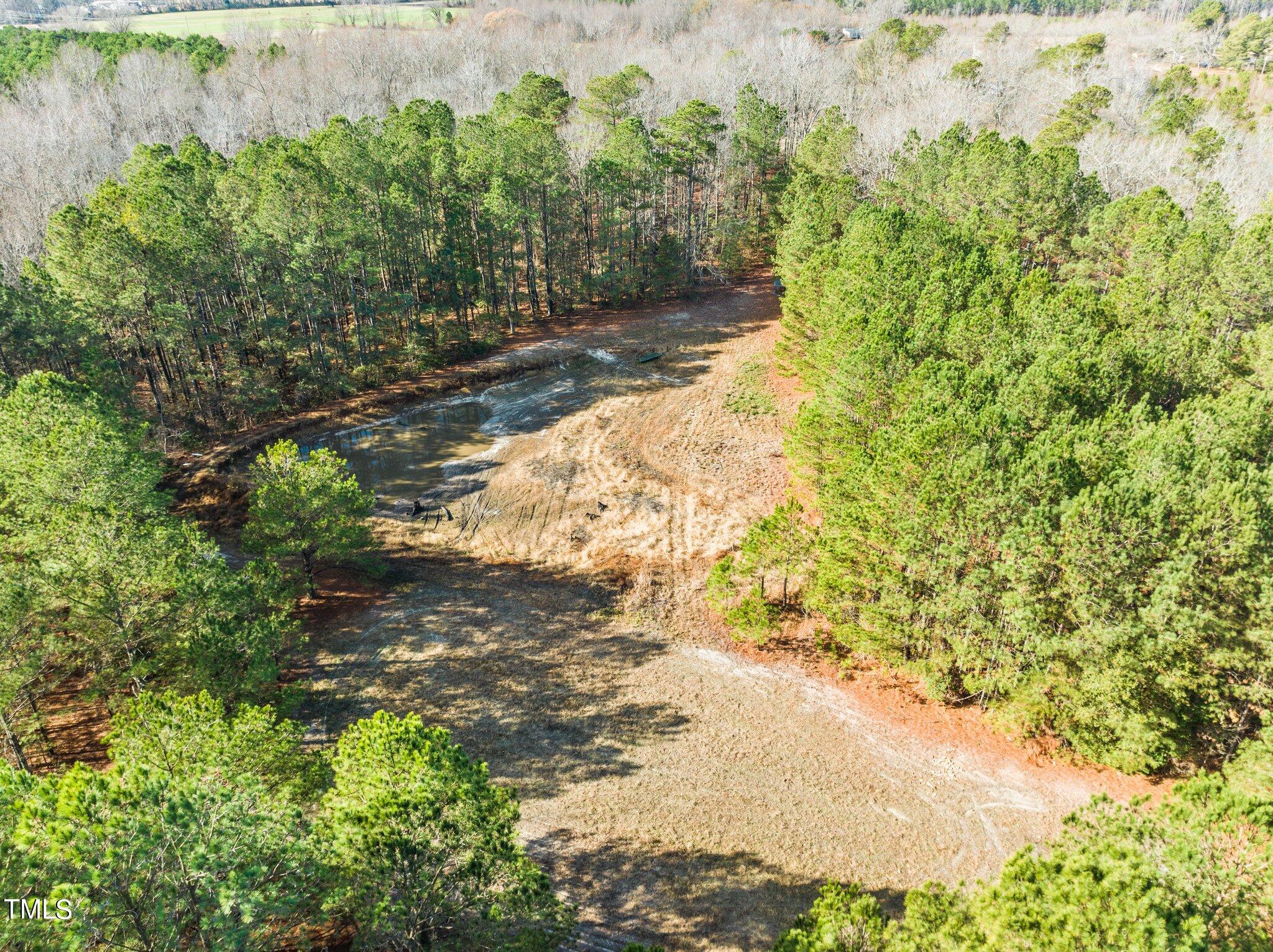 4965 St Rose Church Road Sims, NC 27880 - Photo 53 of 62 a view of a yard with plants and trees
