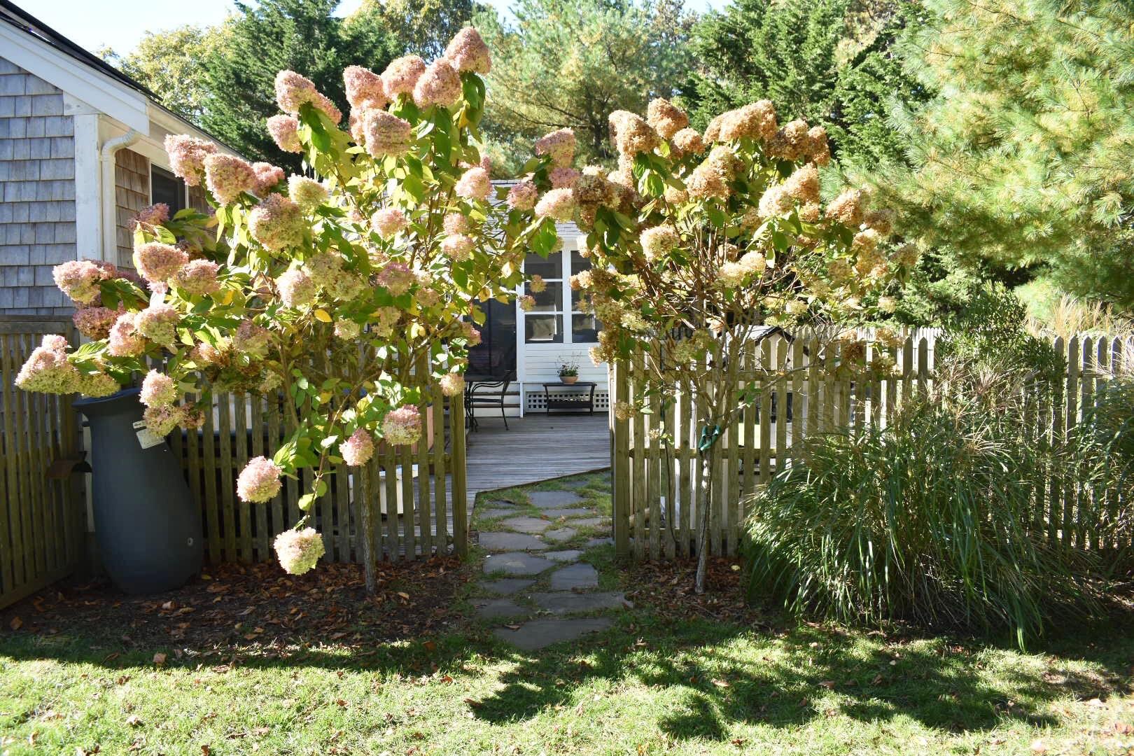 981 Long Pond Road Brewster, MA 02631 - Photo 36 of 41 Backyard Entrance to Deck Area
