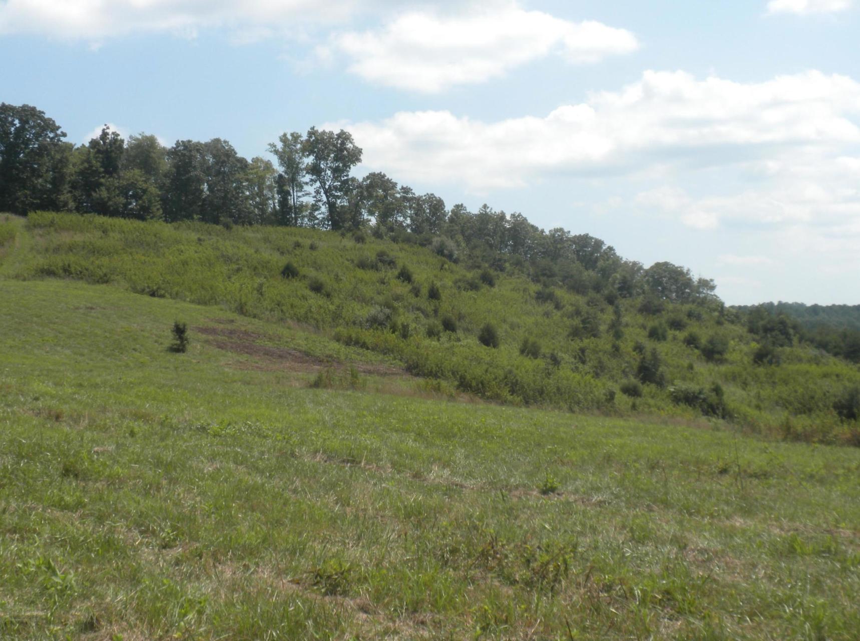 1657 Sulphur Springs Road Clinton, TN 37716 - Photo 14 of 28 Screen Shot 2018-12-09 at 10.48.53 AM