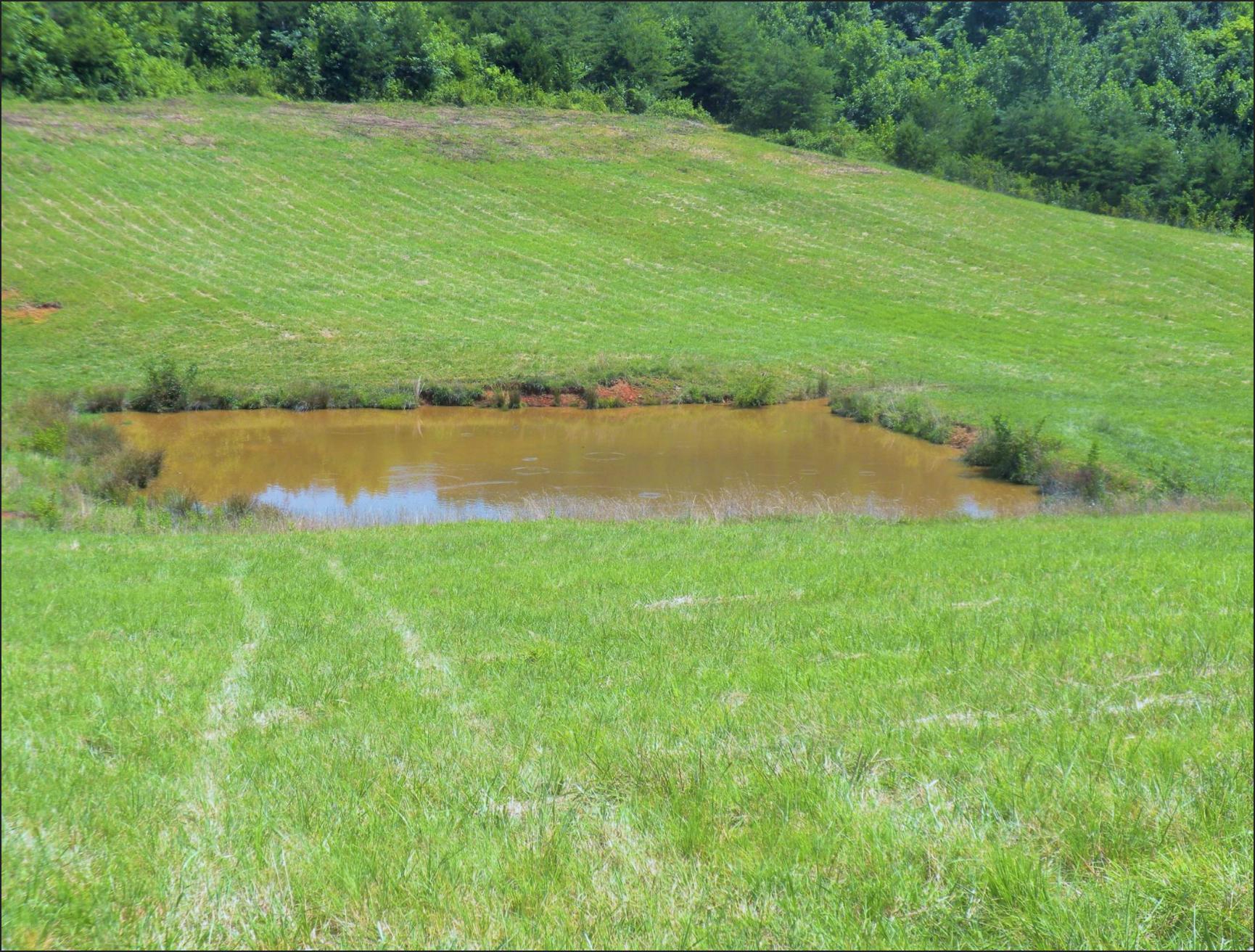 1657 Sulphur Springs Road Clinton, TN 37716 - Photo 8 of 28 Screen Shot 2018-12-09 at 10.52.17 AM