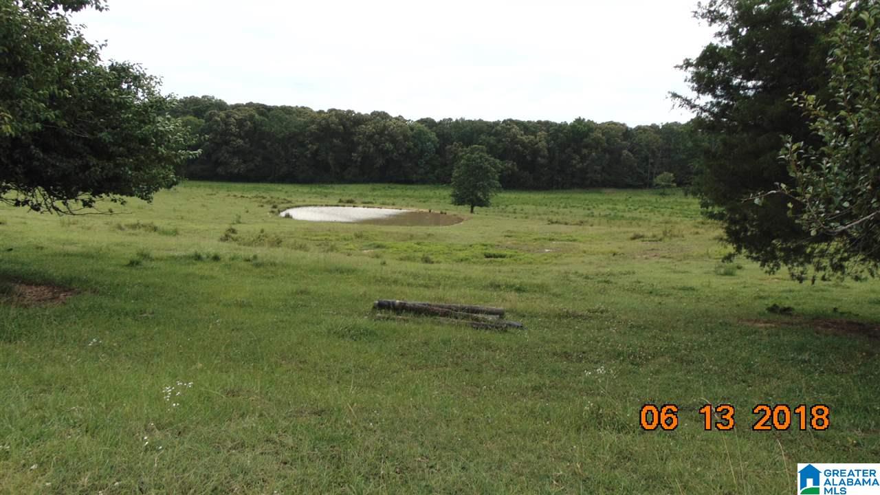 0 West Ashby Road Brierfield, AL 35035 - Photo 22 of 22