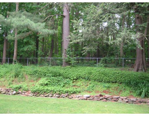 523 Forest Hills Road Springfield, MA 01128 - Photo 3 of 10