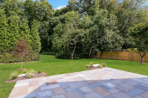 a view of a park with a large trees