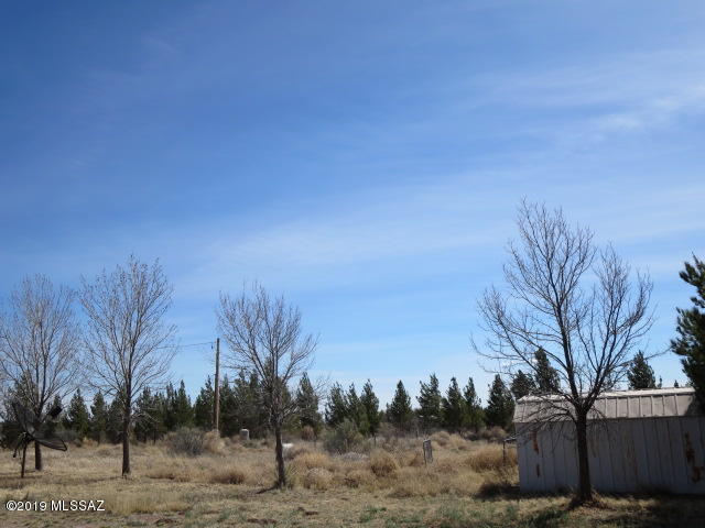 7170 North McBride Road McNeal, AZ 85617 - Photo 41 of 45
