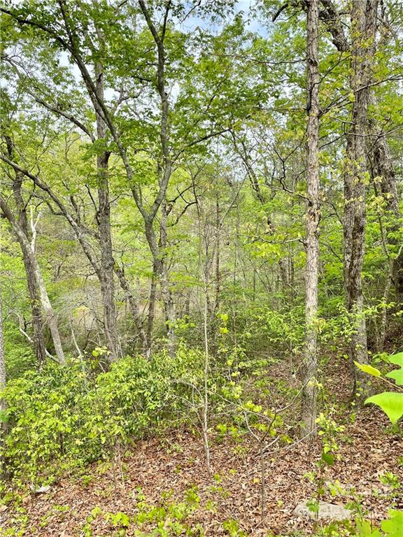 911 Long Branch Road Grover, NC 28073 - Photo 25 of 37