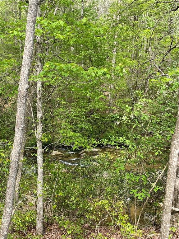 911 Long Branch Road Grover, NC 28073 - Photo 27 of 37 a view of a garden