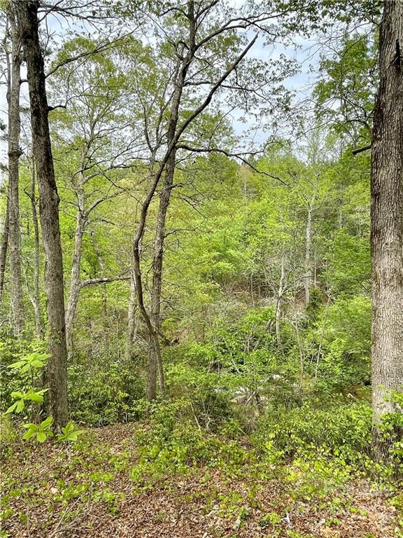 911 Long Branch Road Grover, NC 28073 - Photo 29 of 37