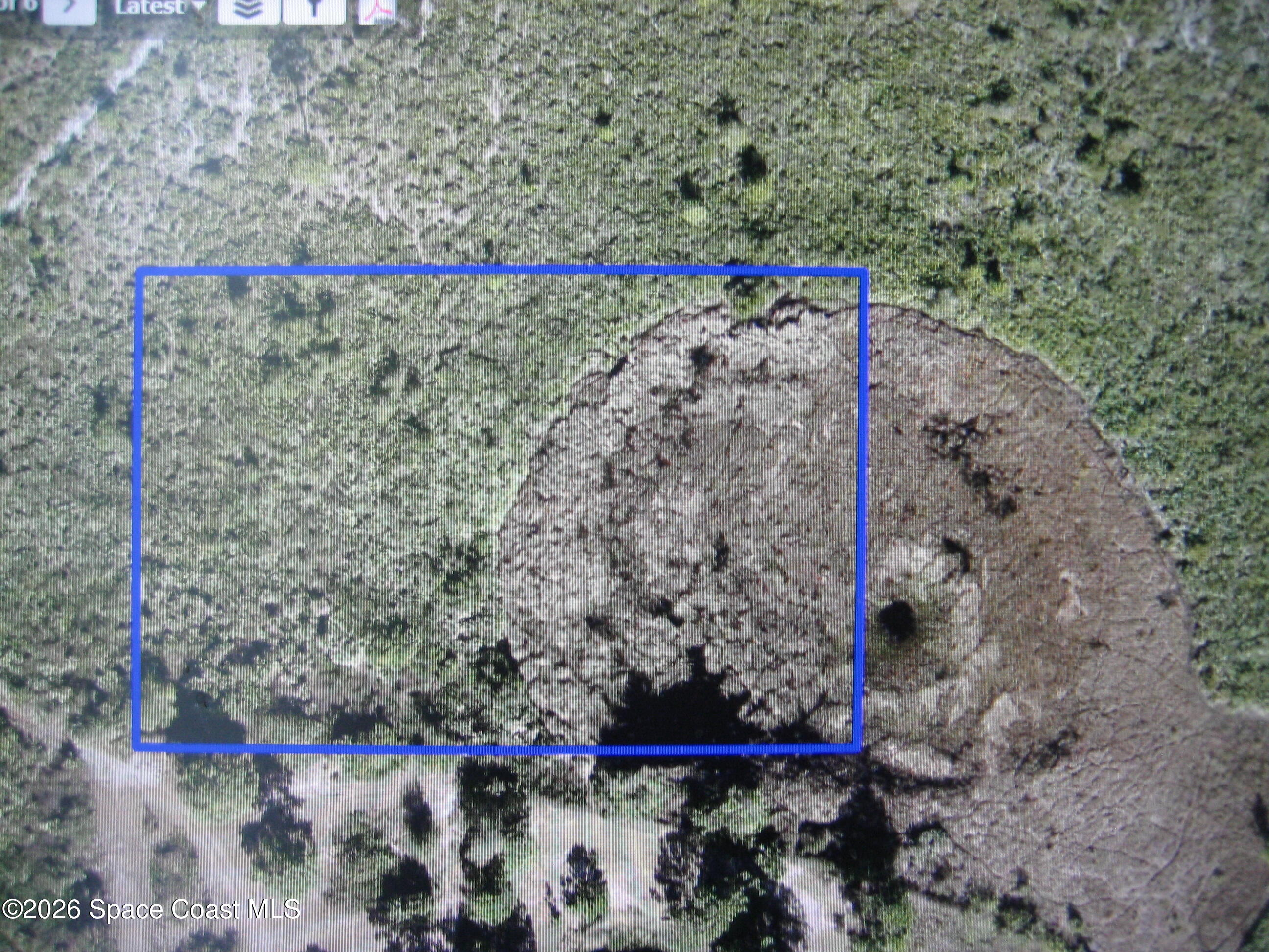 0 Grant Road Palm Bay, FL 32909 - Photo 1 of 1 IMG_1557