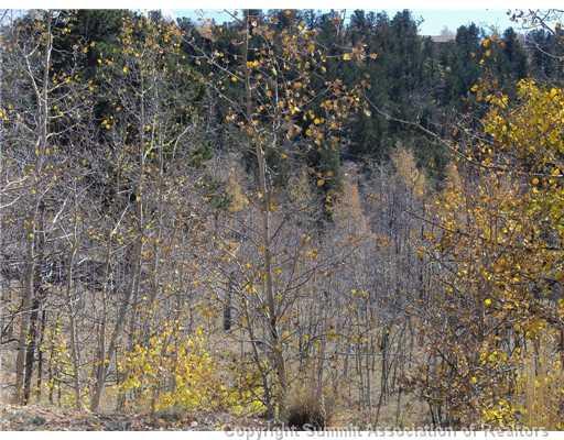 1100 Osprey Road Como, CO 80432 - Photo 2 of 8 Gallery Image 2