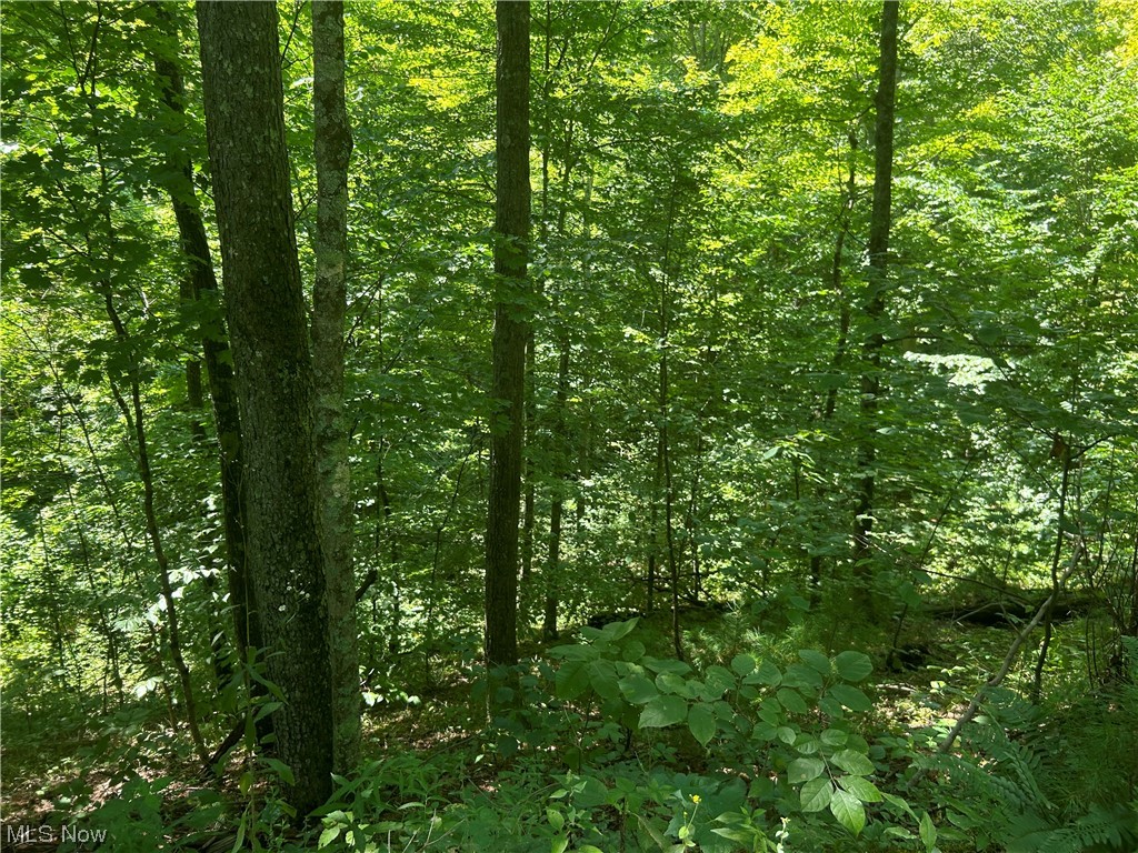 Dozer Ridge Road Blue Rock, OH 43720 - Photo 11 of 20
