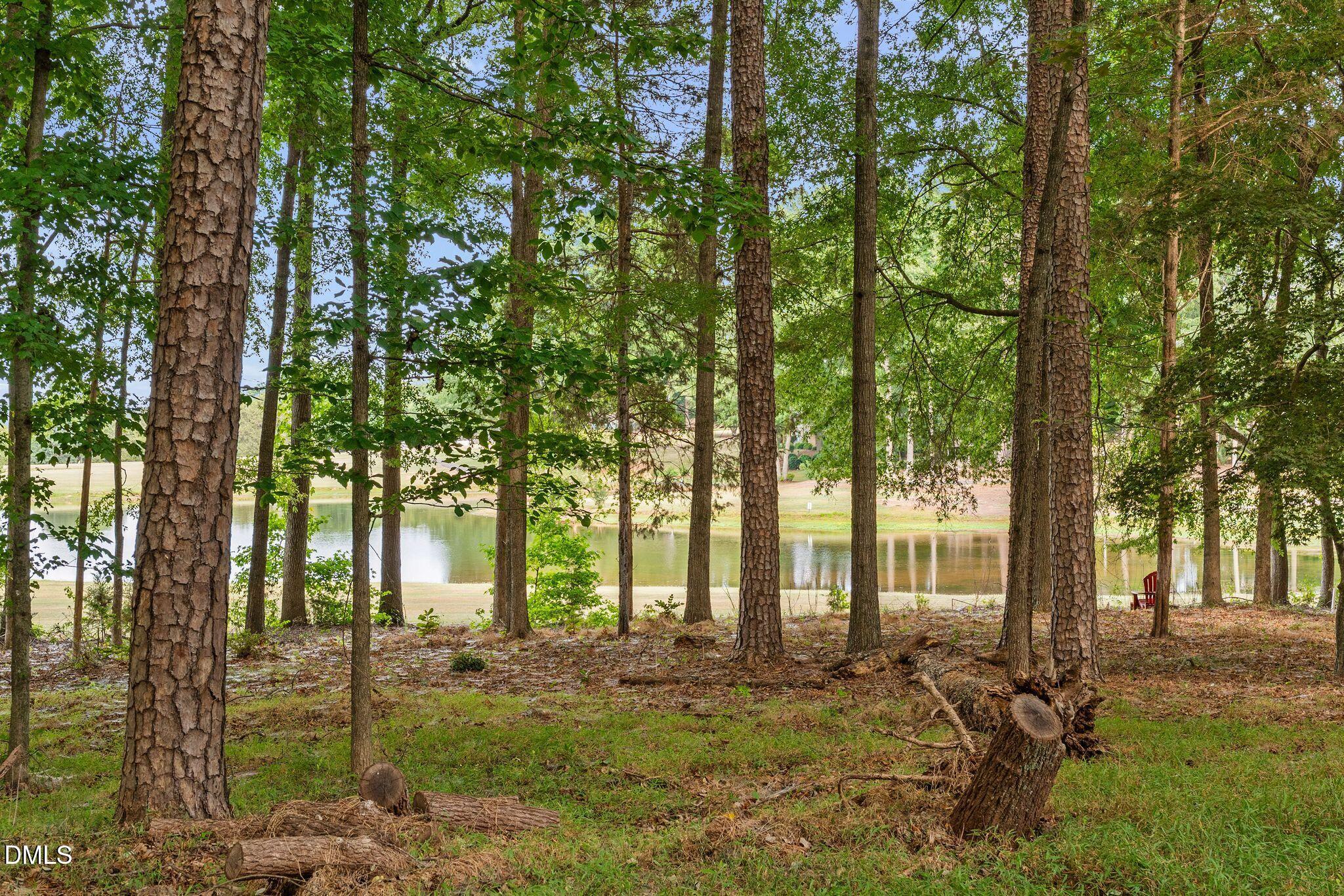 408 Lake Winds Trail Rougemont, NC 27572 - Photo 18 of 68