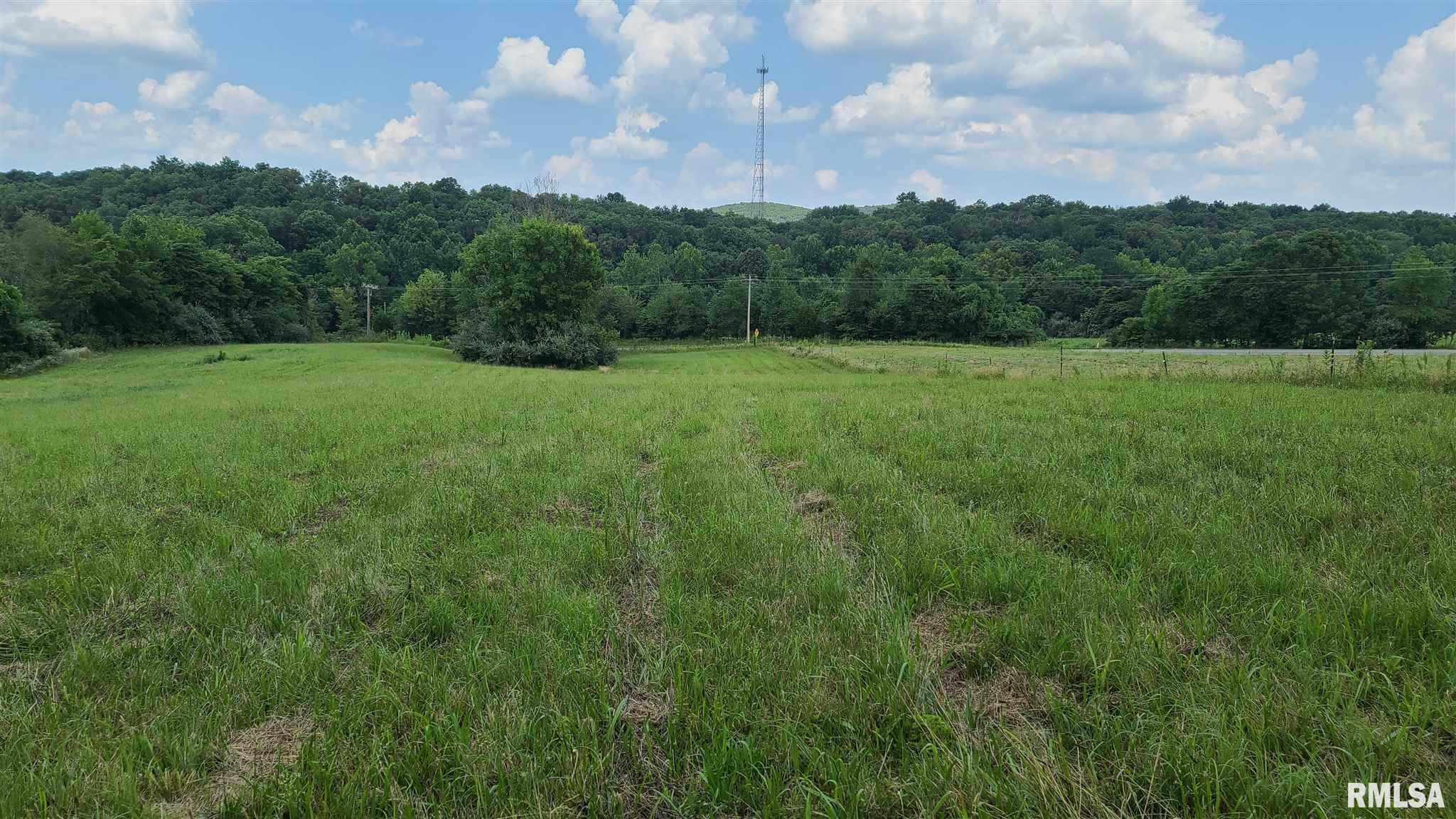 10 Henry Hicks Road Herod, IL 62947 - Photo 9 of 34 Gallery Image 9