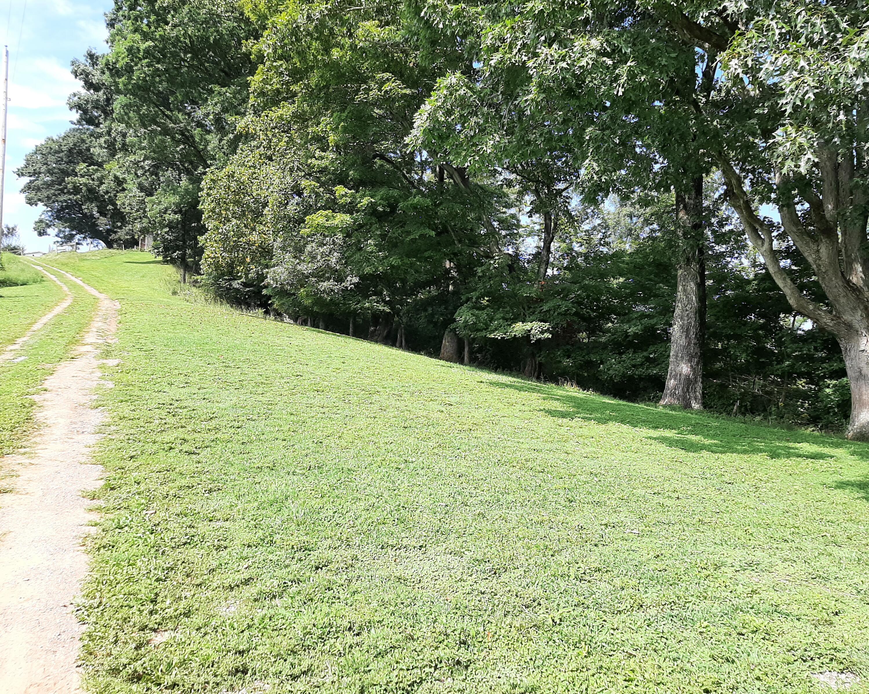 325 Moccasin Ridge Road Lebanon, VA 24266 - Photo 18 of 31 20220825_111222