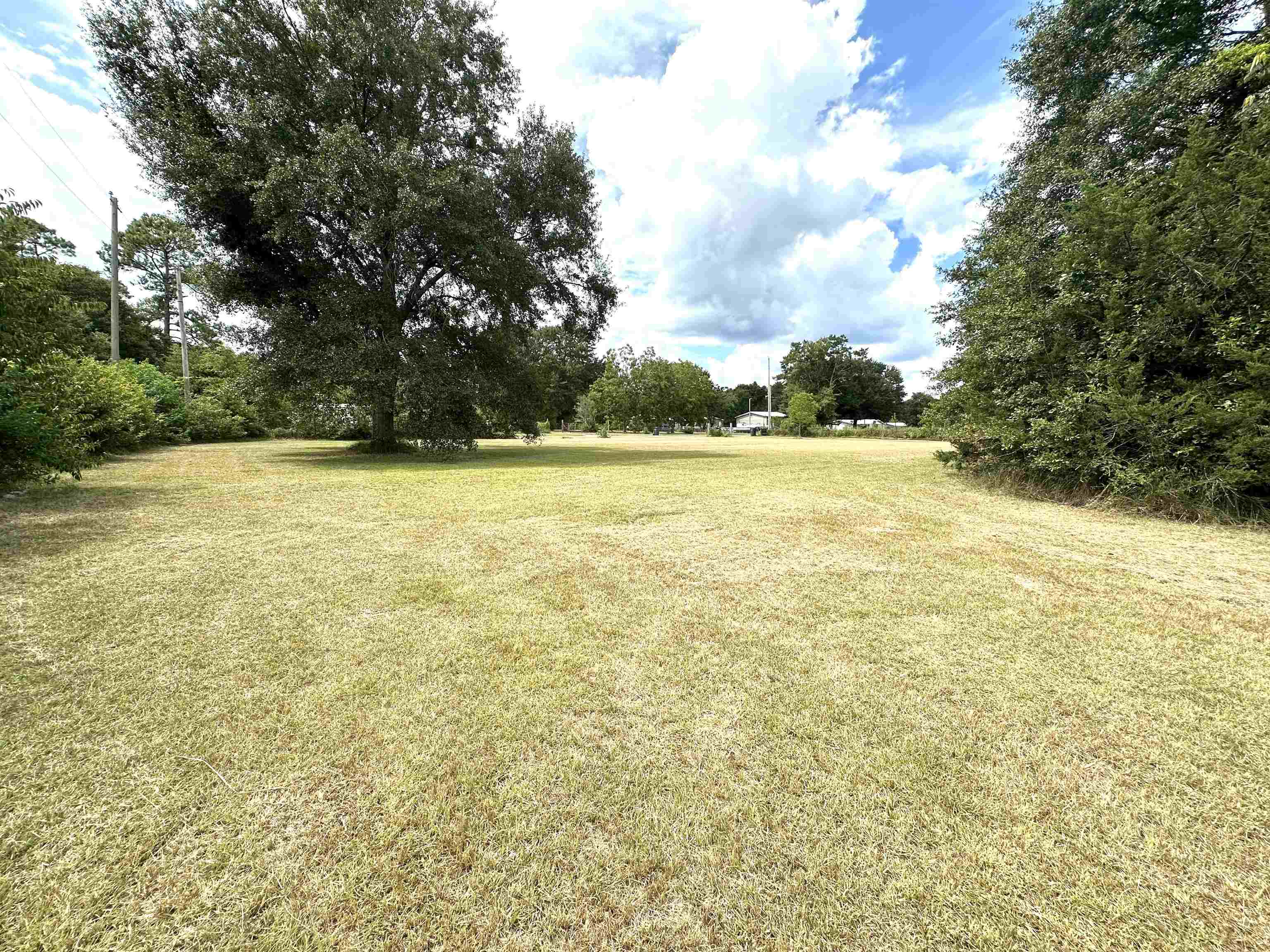 23268 T D Barnett Road Robertsdale, AL 36567 - Photo 8 of 16 Yard