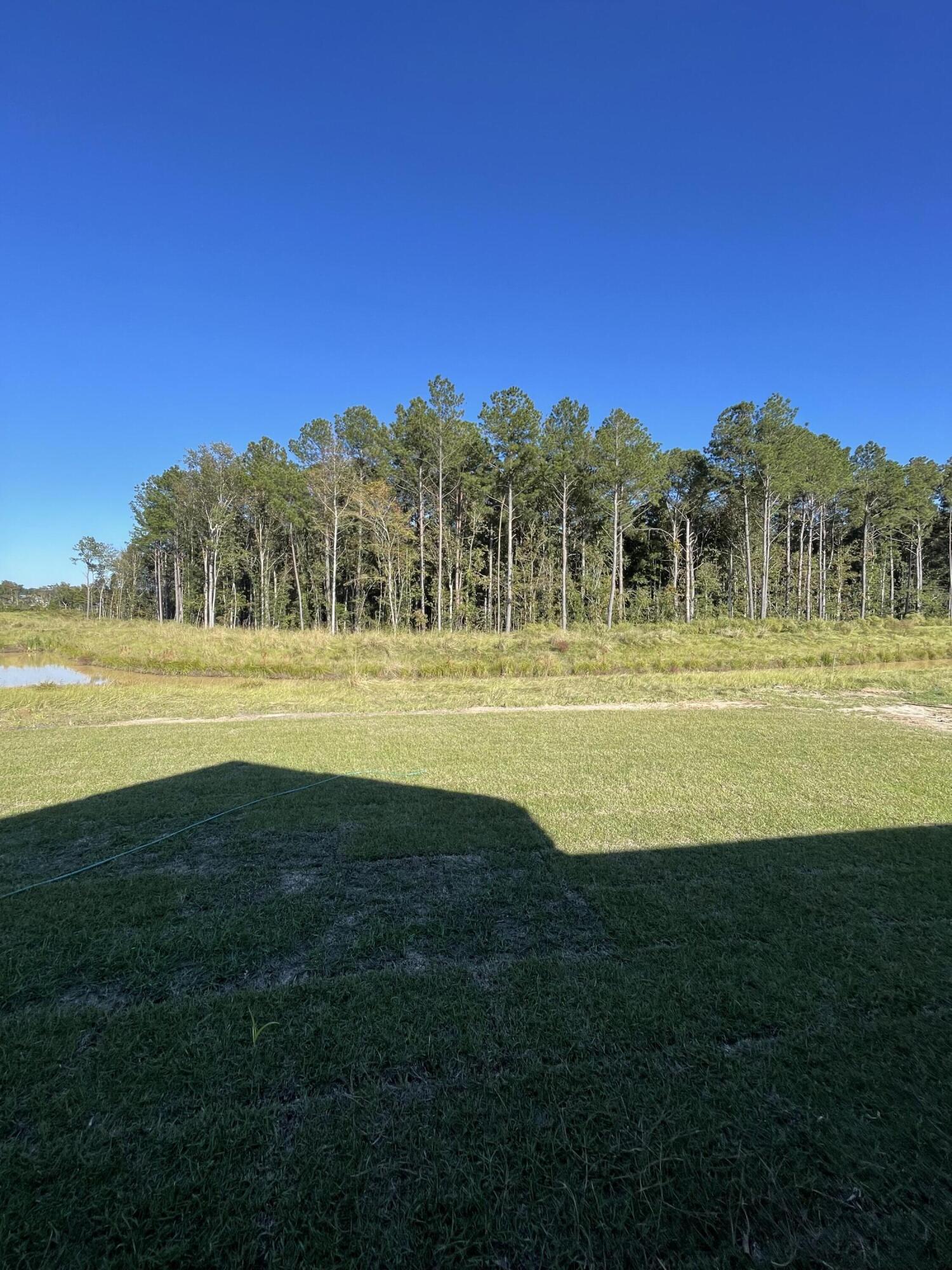 678 Black Pine Road Moncks Corner, SC 29461 - Photo 25 of 34 IMG_9100