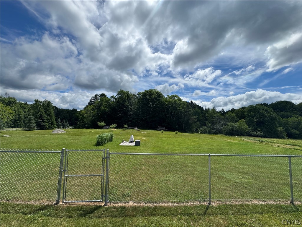 11503 Phillips Road Boonville, NY 13309 - Photo 4 of 42
