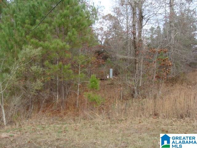 465 Cherokee Road West Blocton, AL 35184 - Photo 25 of 29