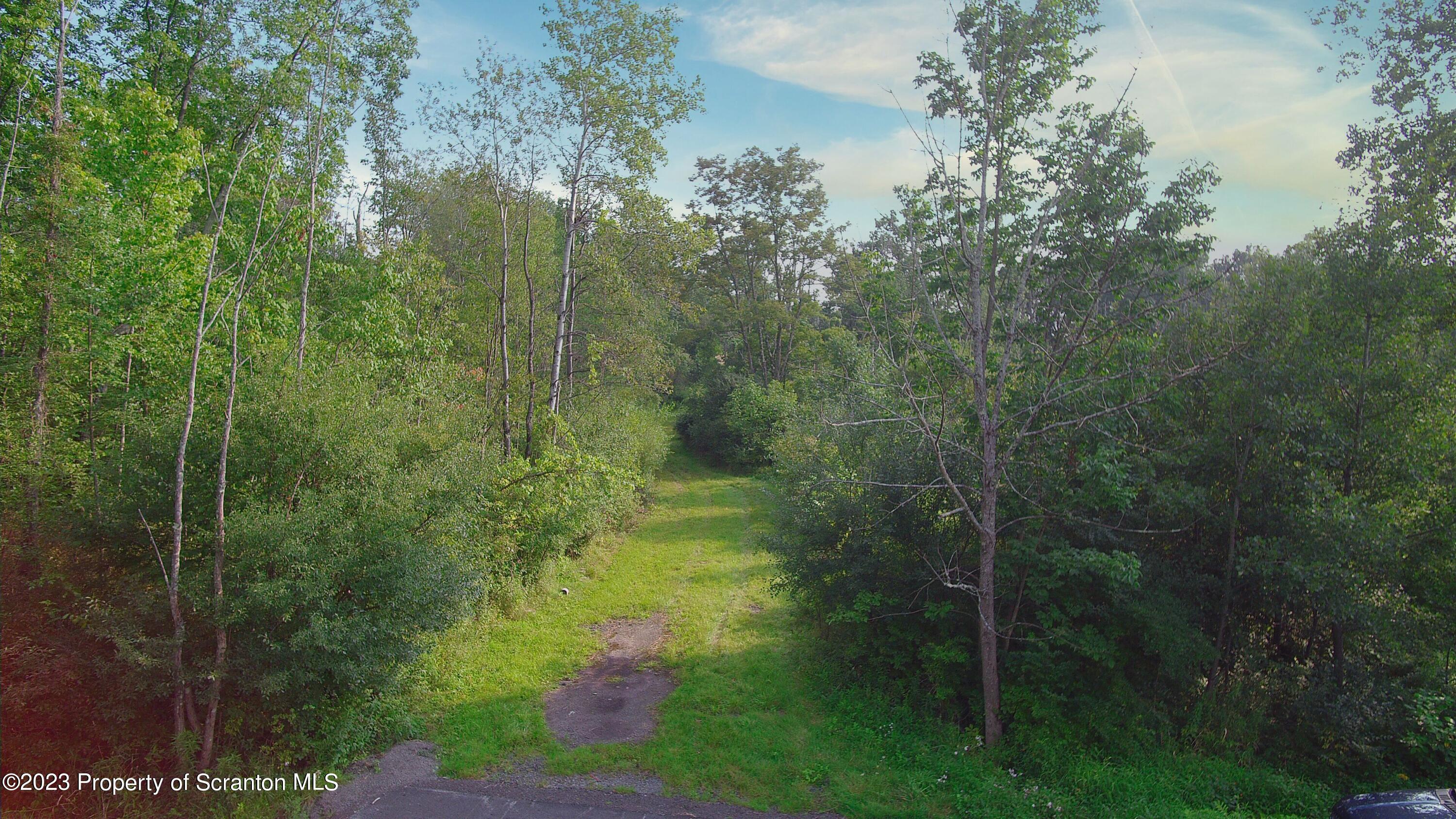 Newton Ransom Boulevard Clarks Summit, PA 18411 - Photo 5 of 12 a view of a garden