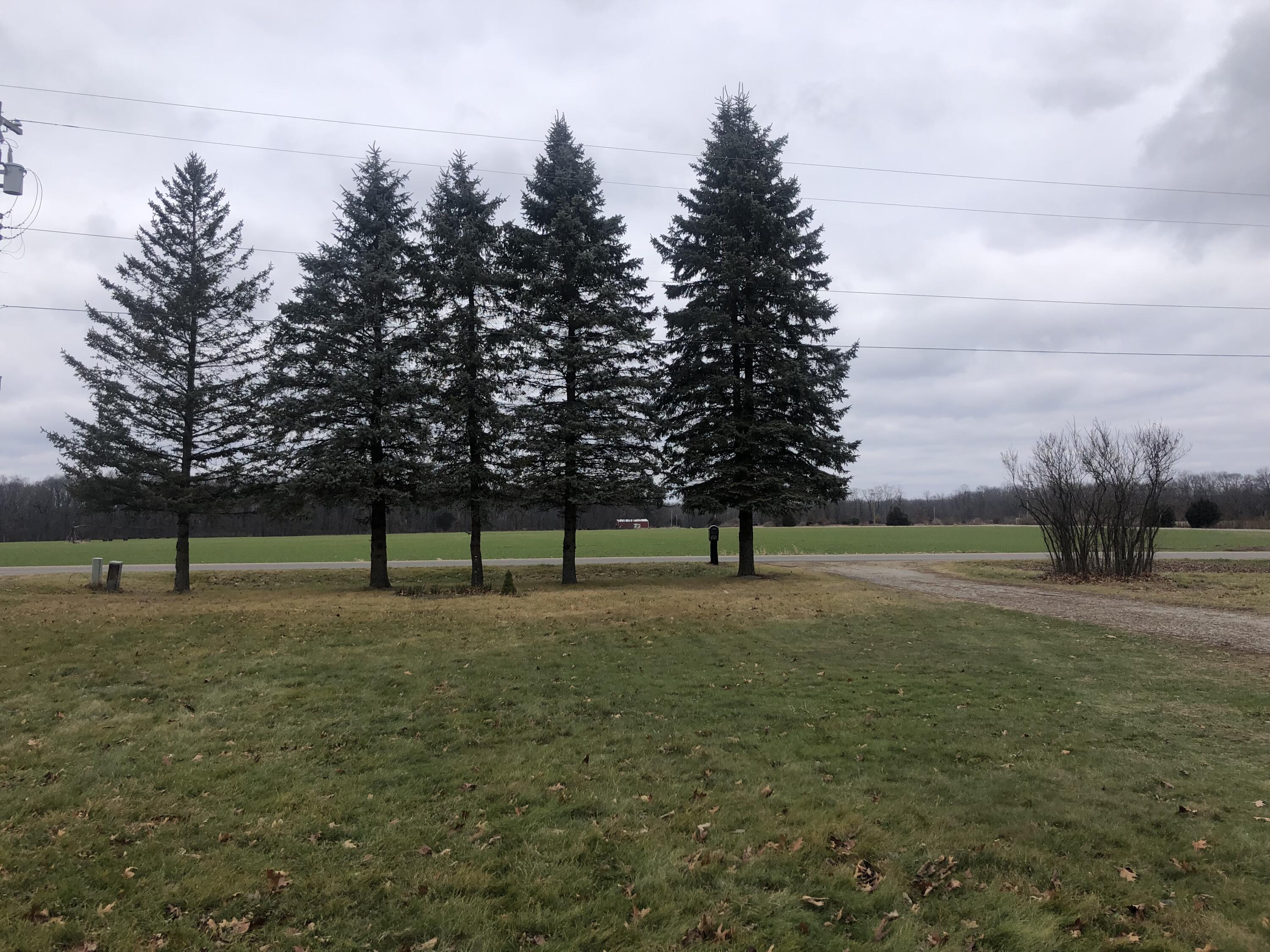 23929 Wakeman Road Mendon, MI 49072 - Photo 22 of 24 VIEW FROM FOYER