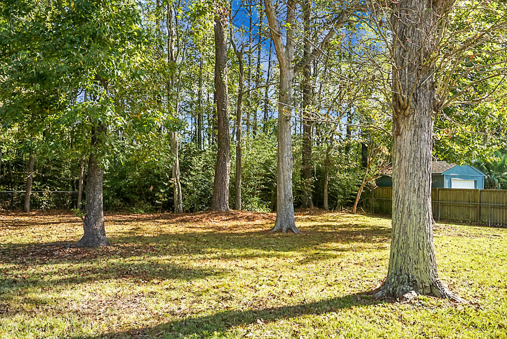 143 Foxborough Road Goose Creek, SC 29445 - Photo 8 of 32 DSC01195