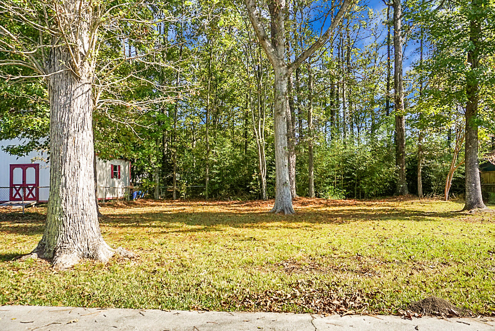 143 Foxborough Road Goose Creek, SC 29445 - Photo 9 of 32 DSC01198