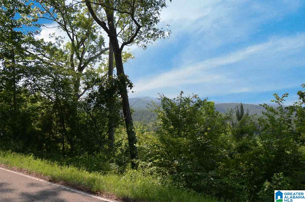 10098 County Road 55, Unit 24 ACRES Fruithurst, AL 36262 - Photo 7 of 27