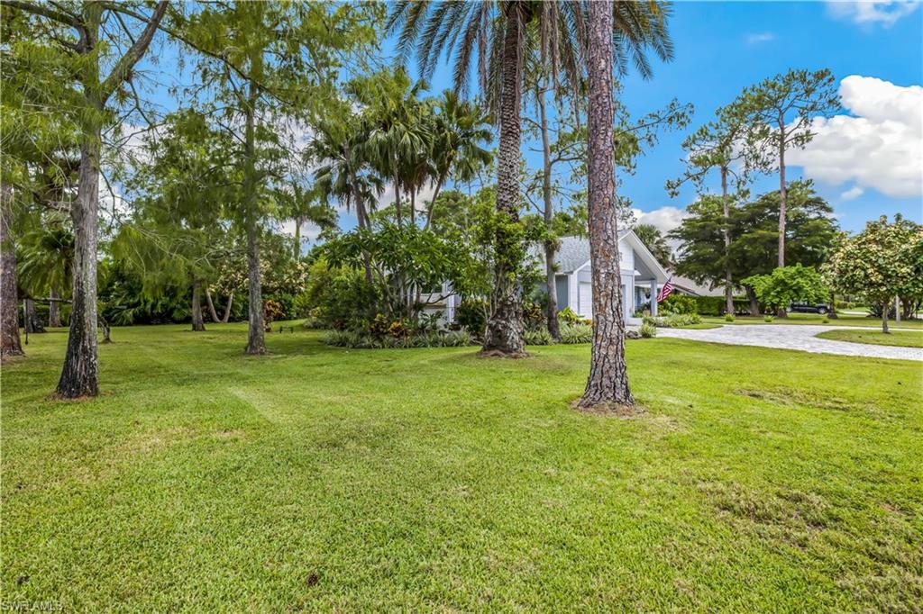 2232 Buckingham Lane Naples, FL 34112 - Photo 27 of 30 a view of a tree in a park