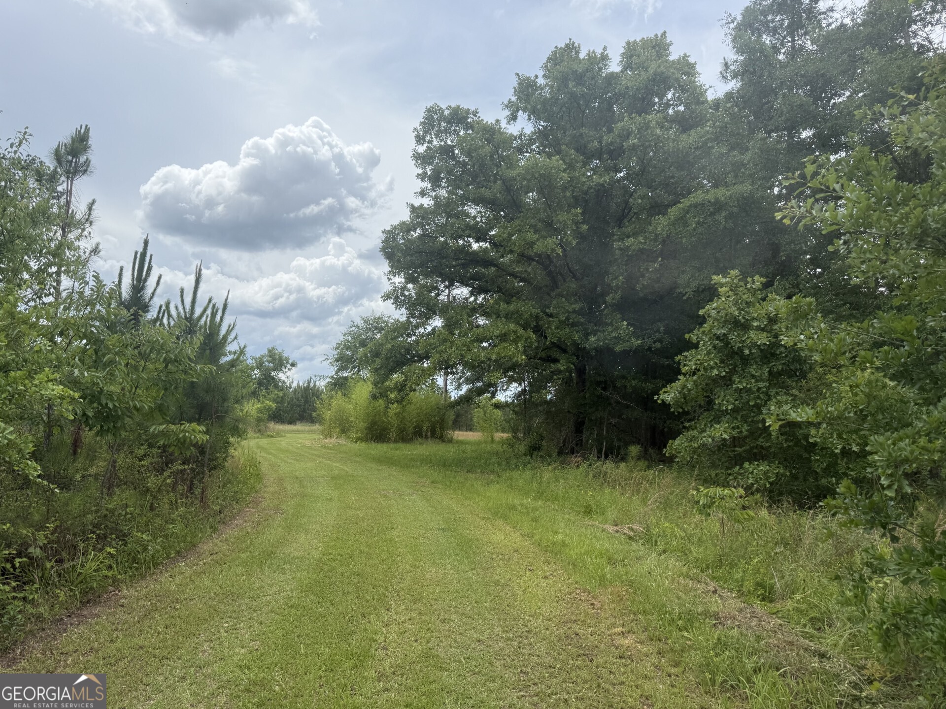 50 Harvest Road Coleman, GA 39836 - Photo 16 of 37 a view of a green yard