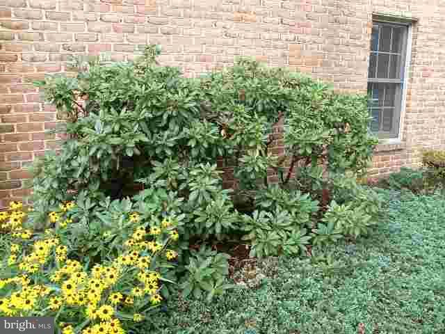 55 Leearden Road Hershey, PA 17033 - Photo 21 of 25 Gallery Image 21