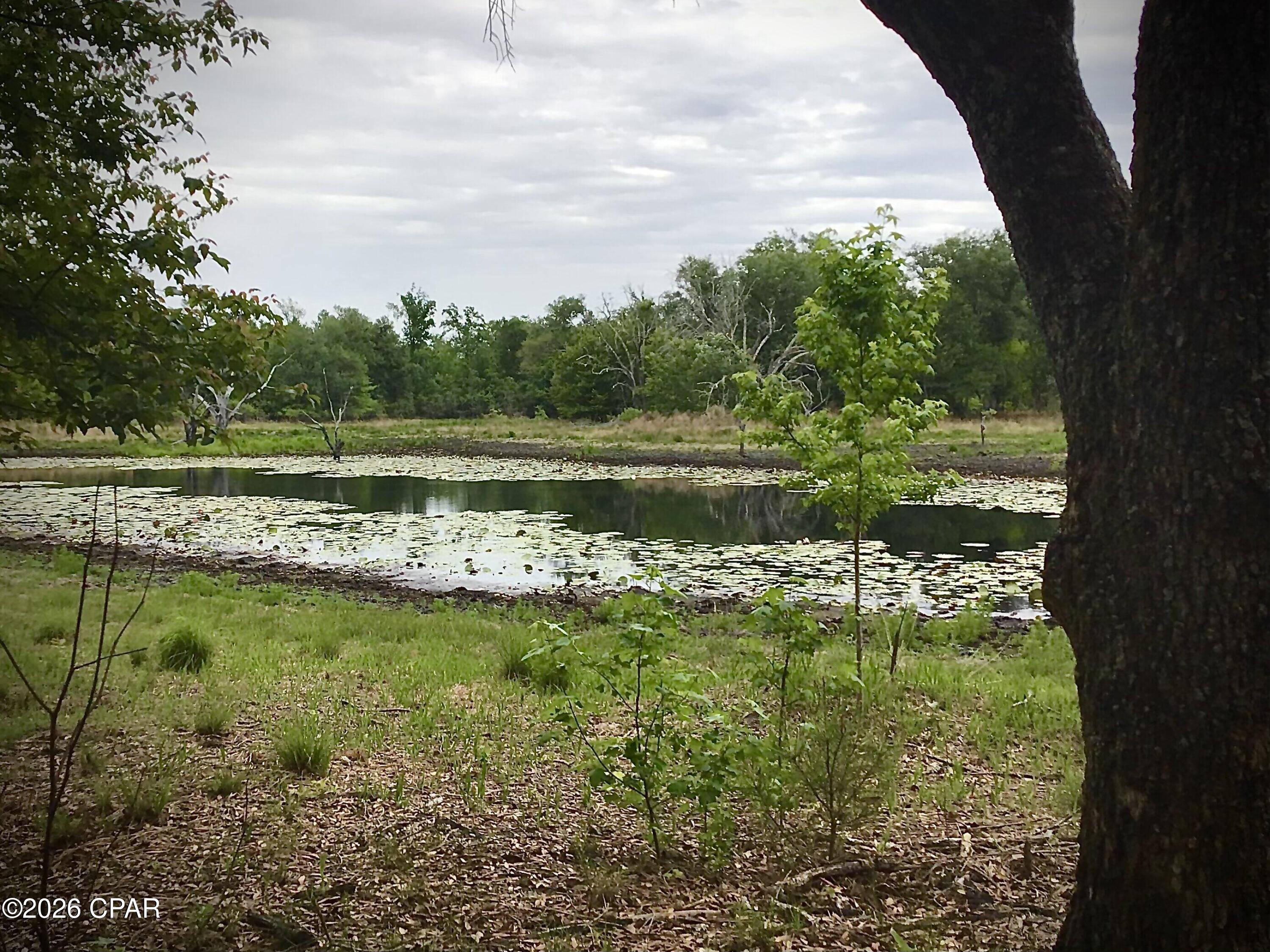0 Little Zion Road Sneads, FL 32460 - Photo 4 of 13
