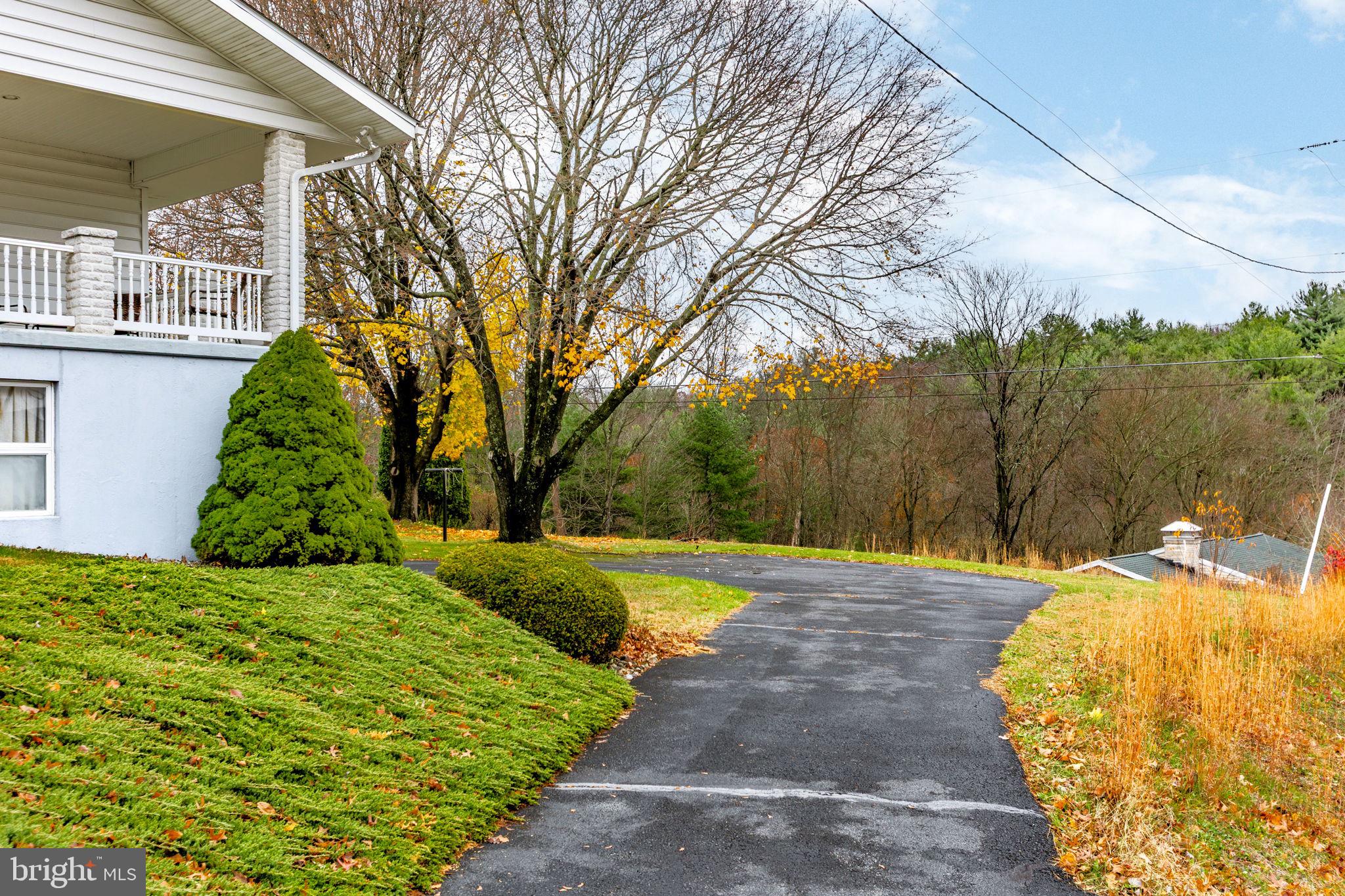 201 Arlene Street Minersville, PA 17954 - Photo 27 of 31 a view of a backyard with large trees