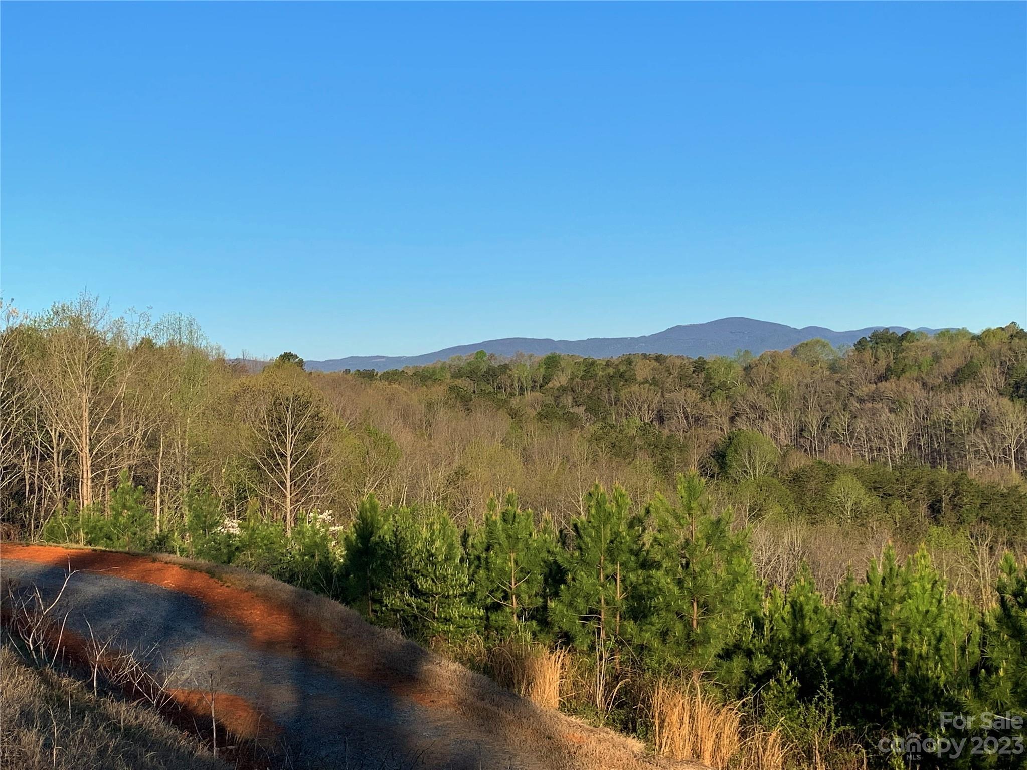 Tract #6 V S Dalton Road Rutherfordton, NC 28139 - Photo 25 of 33 a view of a lake with a mountain in the background
