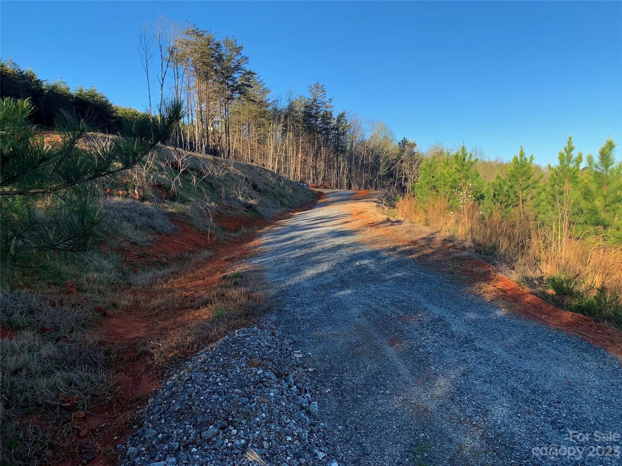 Tract #6 V S Dalton Road Rutherfordton, NC 28139 - Photo 31 of 33 a view of a yard with a tree