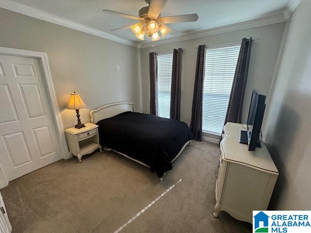 5043 Jim Goggans Road Dora, AL 35062 - Photo 16 of 29