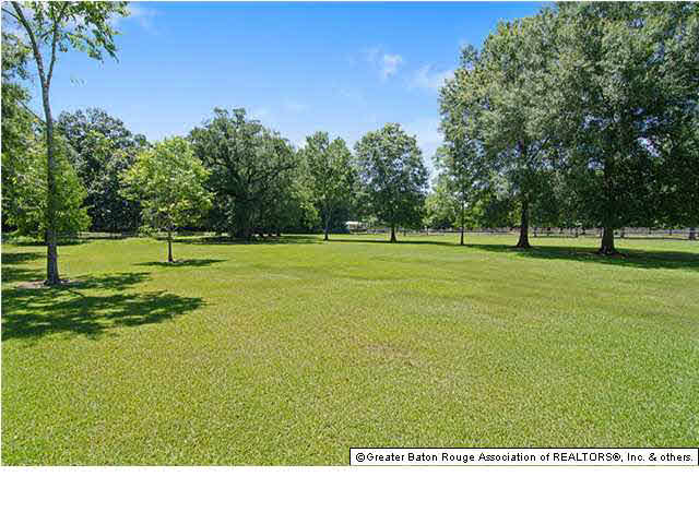 33663 Duff Road Walker, LA 70785 - Photo 15 of 16 Gallery Image 15