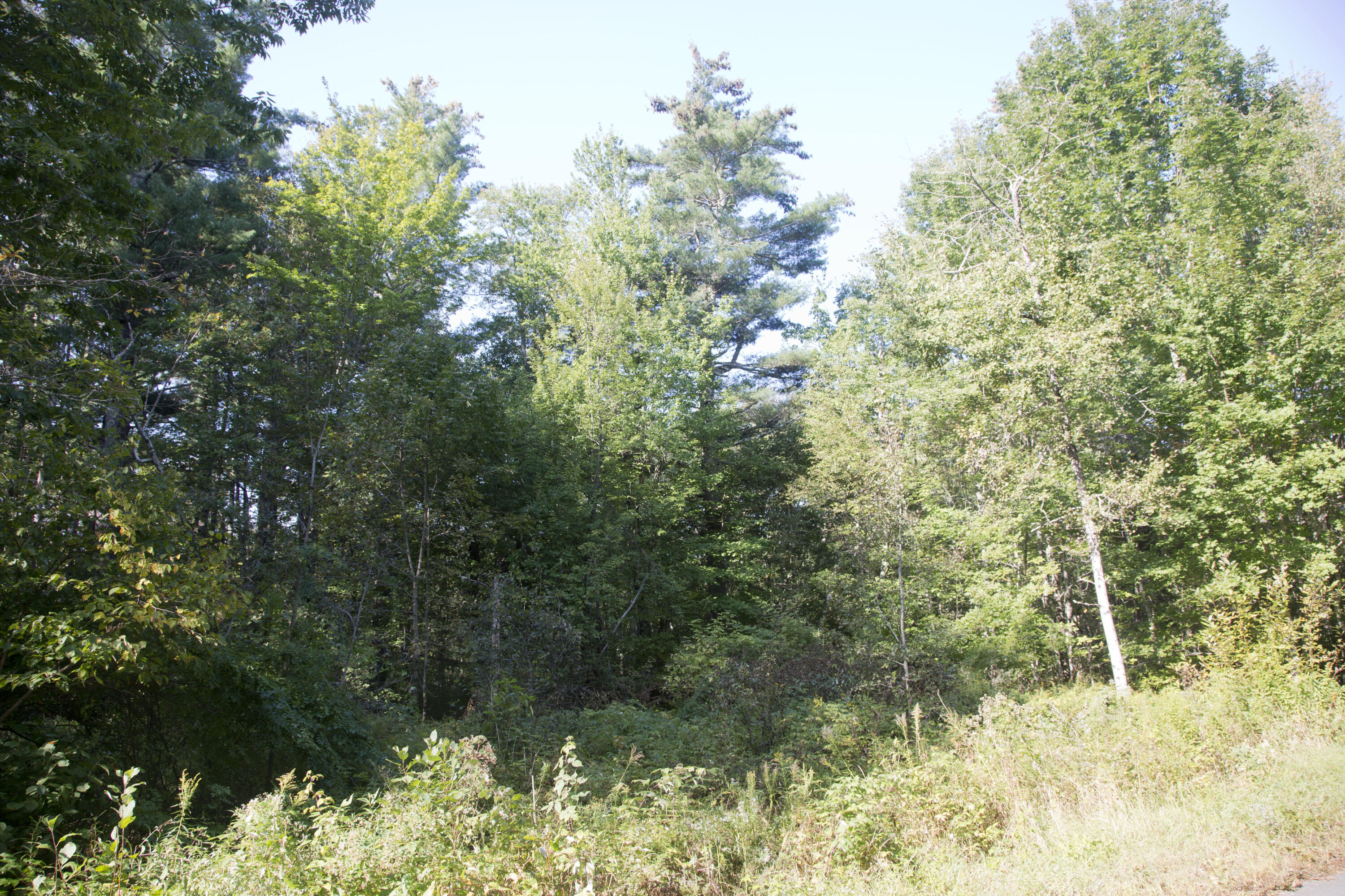 Map4-lot10 Adams Road Frankfort, ME 04438 - Photo 16 of 19 McNeil&Manetta524A1924